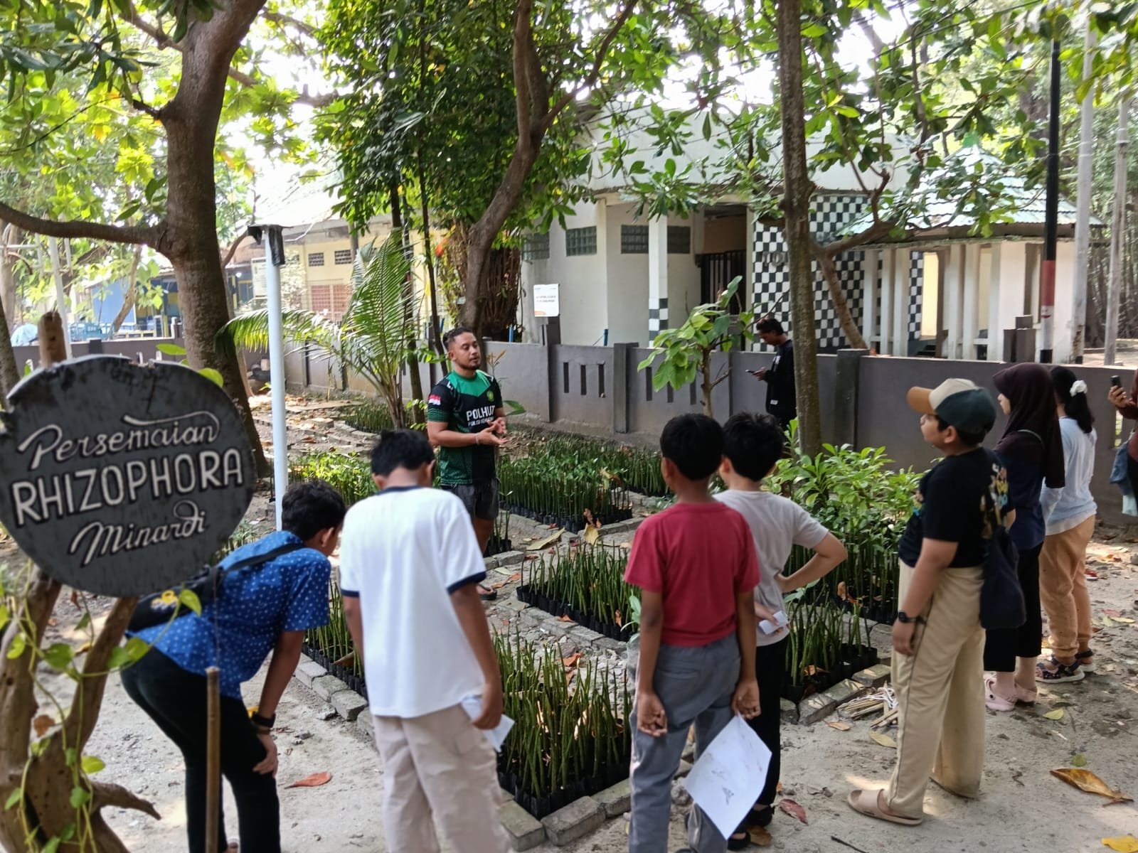 Students learning about mangrove seedlings