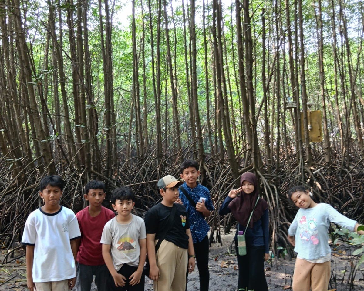 Youth Rangers exploring a mangrove area